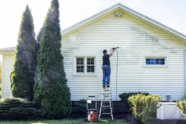 Trusted Barnwell, SC Pressure Washing Services Experts